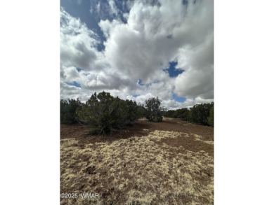 Beautiful 10 ACRES in the heart of White Mountain Lakes on Silver Creek Golf Club in Arizona - for sale on GolfHomes.com, golf home, golf lot