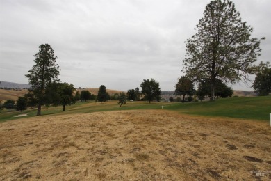 Two condo/townhome GOLF COURSE lots within Dovetail Hill on Quail Ridge Golf Course in Washington - for sale on GolfHomes.com, golf home, golf lot