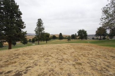 Two condo/townhome GOLF COURSE lots within Dovetail Hill on Quail Ridge Golf Course in Washington - for sale on GolfHomes.com, golf home, golf lot