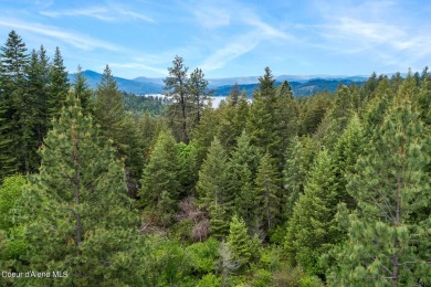 Lot 94 is located on Buckrail Road in close proximity to the on Gozzer Ranch Golf and Lake Club in Idaho - for sale on GolfHomes.com, golf home, golf lot