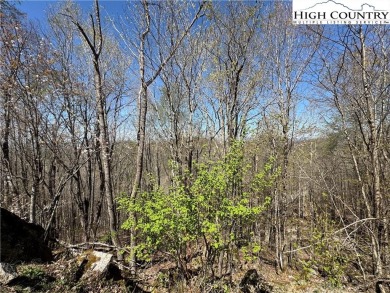 TWO lots for the price of ONE standing at almost 4300 ft above on Beech Mountain Club in North Carolina - for sale on GolfHomes.com, golf home, golf lot