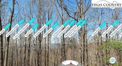 TWO lots for the price of ONE standing at almost 4300 ft above on Beech Mountain Club in North Carolina - for sale on GolfHomes.com, golf home, golf lot