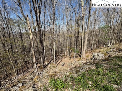 TWO lots for the price of ONE standing at almost 4300 ft above on Beech Mountain Club in North Carolina - for sale on GolfHomes.com, golf home, golf lot