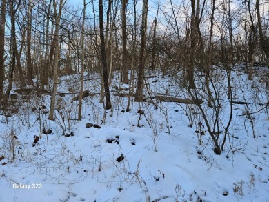 Attention Outdoor Enthusiasts! Triple lot (#1730, 1731, 1732) on Hidden Valley Golf Club in Indiana - for sale on GolfHomes.com, golf home, golf lot
