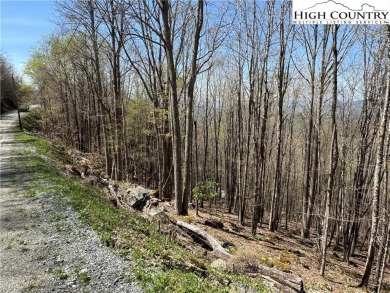 FOUR lots with beautiful seasonal and potential year-round views on Beech Mountain Club in North Carolina - for sale on GolfHomes.com, golf home, golf lot