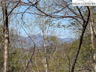 FOUR lots with beautiful seasonal and potential year-round views on Beech Mountain Club in North Carolina - for sale on GolfHomes.com, golf home, golf lot