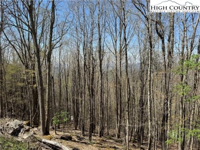 FOUR lots with beautiful seasonal and potential year-round views on Beech Mountain Club in North Carolina - for sale on GolfHomes.com, golf home, golf lot