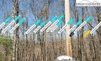 FOUR lots with beautiful seasonal and potential year-round views on Beech Mountain Club in North Carolina - for sale on GolfHomes.com, golf home, golf lot