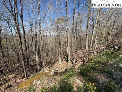 FOUR lots with beautiful seasonal and potential year-round views on Beech Mountain Club in North Carolina - for sale on GolfHomes.com, golf home, golf lot