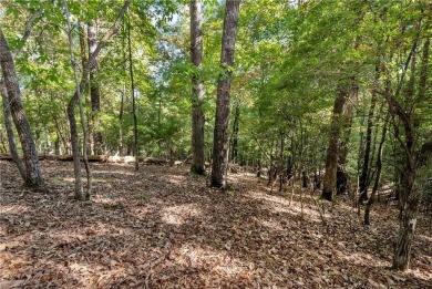 Spectacular .73-acre lush wooded lot, secluded on a private on Achasta Golf Club in Georgia - for sale on GolfHomes.com, golf home, golf lot