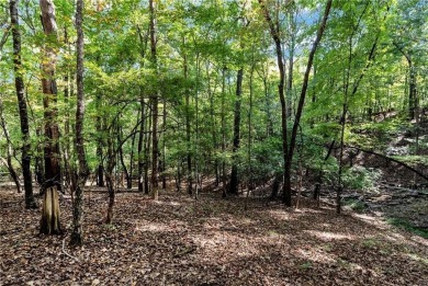 Spectacular .73-acre lush wooded lot, secluded on a private on Achasta Golf Club in Georgia - for sale on GolfHomes.com, golf home, golf lot