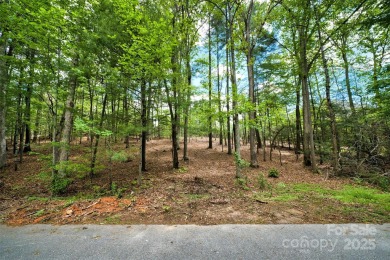 Discover a rare opportunity to build your dream home in the on Biltmore Forest Country Club in North Carolina - for sale on GolfHomes.com, golf home, golf lot