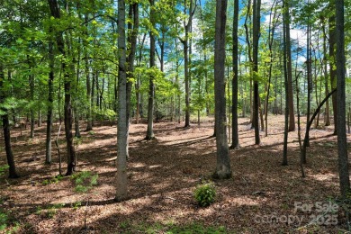 Discover a rare opportunity to build your dream home in the on Biltmore Forest Country Club in North Carolina - for sale on GolfHomes.com, golf home, golf lot
