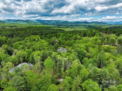 Discover a rare opportunity to build your dream home in the on Biltmore Forest Country Club in North Carolina - for sale on GolfHomes.com, golf home, golf lot