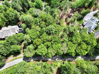 Discover a rare opportunity to build your dream home in the on Biltmore Forest Country Club in North Carolina - for sale on GolfHomes.com, golf home, golf lot