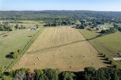 A rare flat piece of cleared land right outside the city limits on Eagle Crest Golf Course in Arkansas - for sale on GolfHomes.com, golf home, golf lot