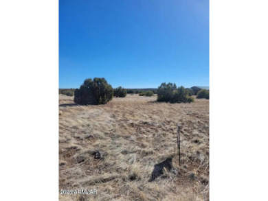 Build your dream home or vacation home in Mountain Lakes on Silver Creek Golf Club in Arizona - for sale on GolfHomes.com, golf home, golf lot