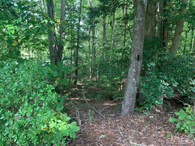 This is your chance to own a wooded DOUBLE lot in the Tanglewood on Tanglewood Shores Golf Club in Virginia - for sale on GolfHomes.com, golf home, golf lot