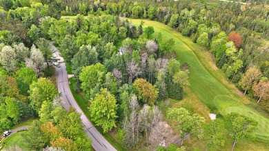 Stunning Oversized Lot on Lakewood on the Green Golf Course on The Briar South At Lakewood in Michigan - for sale on GolfHomes.com, golf home, golf lot