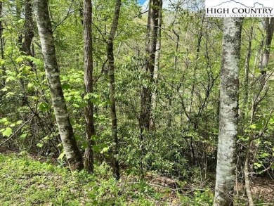 A wooded lot on a quiet street with utilities available on Land Harbor Golf Course in North Carolina - for sale on GolfHomes.com, golf home, golf lot