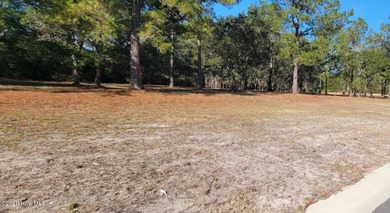 Beautiful, flat wooded lot with mature trees in the back for on Sea Trail Golf Resort in North Carolina - for sale on GolfHomes.com, golf home, golf lot