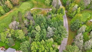 Stunning Oversized Lot on Lakewood on the Green Golf Course on The Briar South At Lakewood in Michigan - for sale on GolfHomes.com, golf home, golf lot