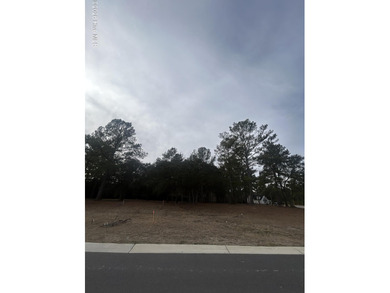 Beautiful, flat wooded lot with mature trees in the back for on Sea Trail Golf Resort in North Carolina - for sale on GolfHomes.com, golf home, golf lot