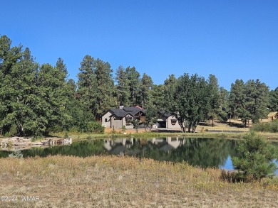 WATERFRONT lot for you to build your dream home in Torreon, a on Torreon Golf Club in Arizona - for sale on GolfHomes.com, golf home, golf lot