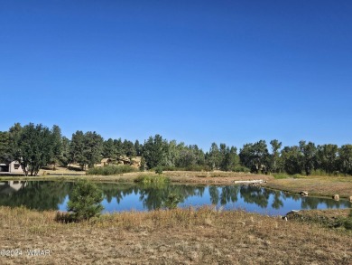 WATERFRONT lot for you to build your dream home in Torreon, a on Torreon Golf Club in Arizona - for sale on GolfHomes.com, golf home, golf lot