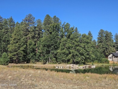 WATERFRONT lot for you to build your dream home in Torreon, a on Torreon Golf Club in Arizona - for sale on GolfHomes.com, golf home, golf lot