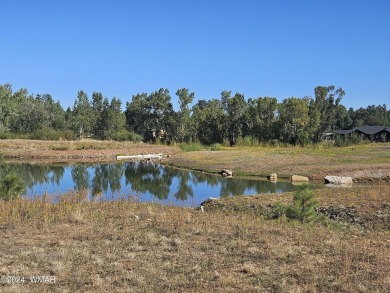WATERFRONT lot for you to build your dream home in Torreon, a on Torreon Golf Club in Arizona - for sale on GolfHomes.com, golf home, golf lot