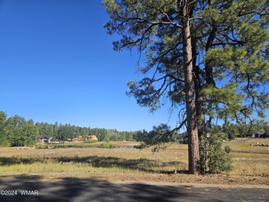 WATERFRONT lot for you to build your dream home in Torreon, a on Torreon Golf Club in Arizona - for sale on GolfHomes.com, golf home, golf lot