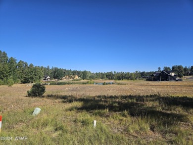 WATERFRONT lot for you to build your dream home in Torreon, a on Torreon Golf Club in Arizona - for sale on GolfHomes.com, golf home, golf lot