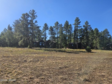 WATERFRONT lot for you to build your dream home in Torreon, a on Torreon Golf Club in Arizona - for sale on GolfHomes.com, golf home, golf lot