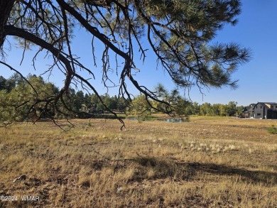 WATERFRONT lot for you to build your dream home in Torreon, a on Torreon Golf Club in Arizona - for sale on GolfHomes.com, golf home, golf lot