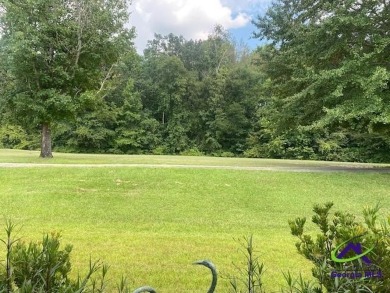 Spacious Home in a 55+ Active community in Perry GA.  2276 sq on Houston Springs Resort and Golf Course in Georgia - for sale on GolfHomes.com, golf home, golf lot