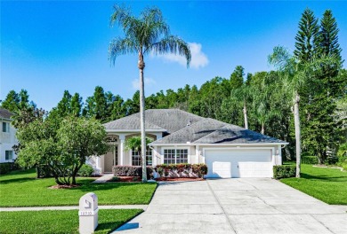 Welcome to 18910 Saint Laurent Dr, a beautifully maintained on TPC of Tampa Bay in Florida - for sale on GolfHomes.com, golf home, golf lot