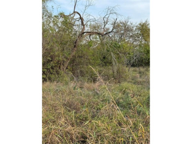Get away from in all in White Bluff Resort. This lot won't last on White Bluff Resort - New Course in Texas - for sale on GolfHomes.com, golf home, golf lot