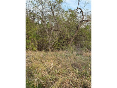 Get away from in all in White Bluff Resort. This lot won't last on White Bluff Resort - New Course in Texas - for sale on GolfHomes.com, golf home, golf lot