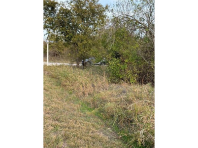 Get away from in all in White Bluff Resort. This lot won't last on White Bluff Resort - New Course in Texas - for sale on GolfHomes.com, golf home, golf lot
