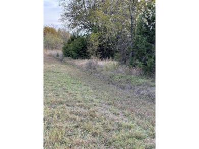 Get away from in all in White Bluff Resort. This lot won't last on White Bluff Resort - New Course in Texas - for sale on GolfHomes.com, golf home, golf lot