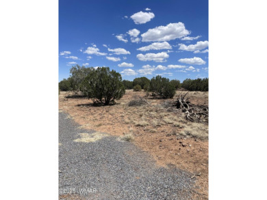Just shy of 6 acres of RU-1 zoned land:
Use:  
SINGLE FAMILY: on Silver Creek Golf Club in Arizona - for sale on GolfHomes.com, golf home, golf lot