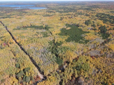 Ideal 10 acre building site near acres of County Land! Build on Forest Point Golf Course in Wisconsin - for sale on GolfHomes.com, golf home, golf lot
