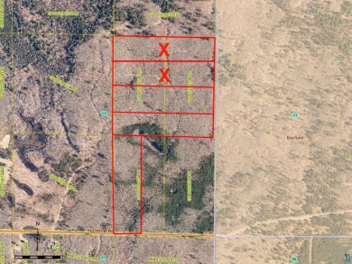 Ideal 10 acre building site near acres of County Land! Build on Forest Point Golf Course in Wisconsin - for sale on GolfHomes.com, golf home, golf lot
