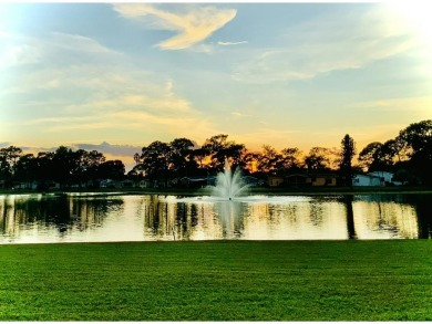 Beautifully renovated 2bd/2ba home! Open-concept plan is perfect on Del Tura Golf and Country Club in Florida - for sale on GolfHomes.com, golf home, golf lot