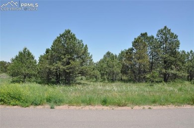 beautiful nearly 3 acre lot on Allen Ranch Rd .....accross the on Flying Horse North Golf Course in Colorado - for sale on GolfHomes.com, golf home, golf lot