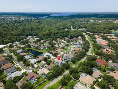 NOT IN A FLOD/EVACUATION ZONE, NO DAMAGE DURING RECENT on East Lake Woodlands Country Club in Florida - for sale on GolfHomes.com, golf home, golf lot