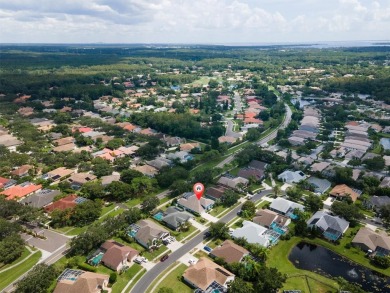 NOT IN A FLOD/EVACUATION ZONE, NO DAMAGE DURING RECENT on East Lake Woodlands Country Club in Florida - for sale on GolfHomes.com, golf home, golf lot