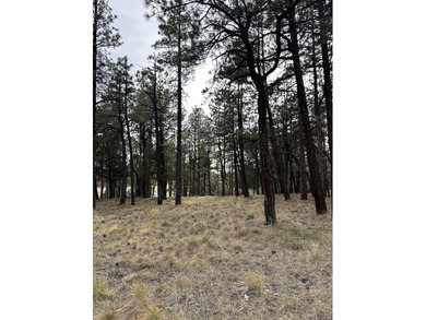 Discover the perfect blend of beauty and value in Divide Ranch on The Divide Ranch and Club in Colorado - for sale on GolfHomes.com, golf home, golf lot