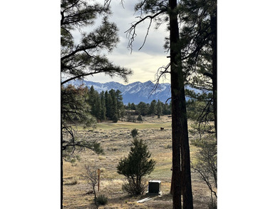 Discover the perfect blend of beauty and value in Divide Ranch on The Divide Ranch and Club in Colorado - for sale on GolfHomes.com, golf home, golf lot